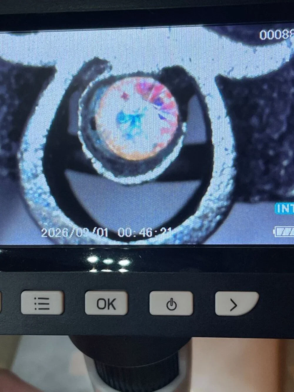Taurus Zodiac Ring Vintage Textured Black Pewter Tone Silver Crystal Bull Astrol